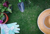 ガーデニングの天敵雑草の対策をしよう！しつこい雑草の対策法とは？