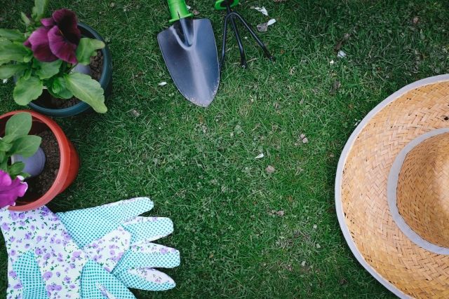 ガーデニングの天敵雑草の対策をしよう！しつこい雑草の対策法とは？