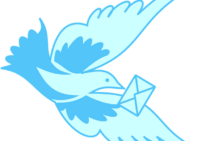 あなどれない鳩の帰巣本能！昔から利用されてきたけど思わぬ弊害も…