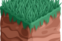 芝生を床土で元気にする！床土を作る方法や芝生の張り方を解説します