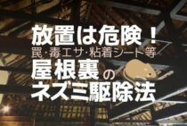屋根裏のネズミ駆除は早期解決がミソ！侵入経路を防げば再発防止も可