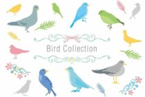 灰色に褐色、鮮やかな緑色…鳩の種類と鳩の被害を防ぐ方法をご紹介