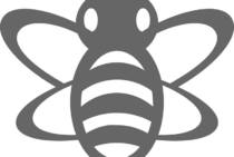 オオスズメバチの大きさは？日本に生息するスズメバチの種類と比較