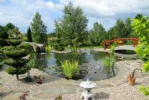 除草剤は撒いても大丈夫…？ガーデニングと雑草対策を両立するために