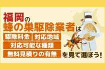 【蜂の巣・スズメバチ駆除】福岡の業者比較｜おすすめ業者５選