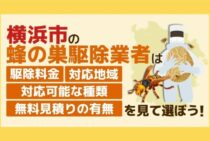 【蜂の巣・スズメバチ駆除】横浜市の業者比較｜おすすめ業者５選