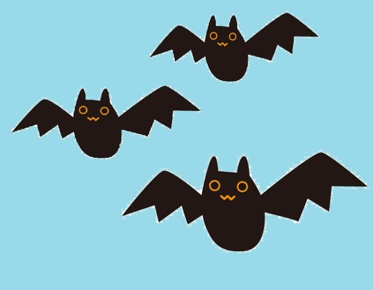 いったいどこから！？コウモリの侵入経路と被害のサインを紹介！