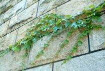 ブロック塀の劣化の原因は？見た目では分かりづらい危険な塀とは