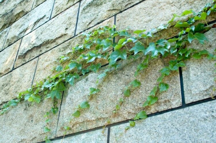 ブロック塀の劣化の原因は？見た目では分かりづらい危険な塀とは