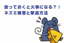 放っておくと火事になることも？！ネズミ被害と撃退方法を紹介！