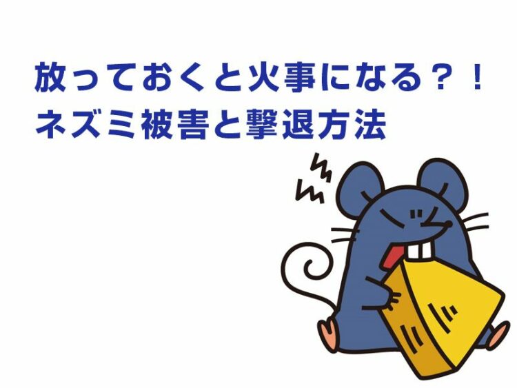 放っておくと火事になることも？！ネズミ被害と撃退方法を紹介！