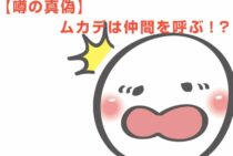 「ムカデを殺すと集まる」に科学的な根拠なし！安全に駆除する3つの方法