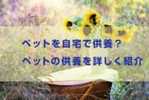 ペットを自宅供養する方法を徹底分析！自分にあった方法がみつかる？