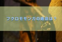 フクロモモンガの寿命は5～8年！長生きさせる上手な飼育方法を解説
