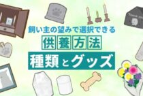 犬火葬後の遺骨｜骨壷での自宅保管や散骨などペット供養方法をご紹介