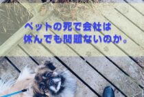 ペットで忌引きは使える？ペットの死で会社は休んでも問題ないのか。