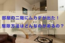 部屋の二階にムカデが出た！駆除方法はどんなのがあるの？