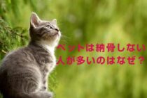 ペットは納骨しない人が多いのはなぜ？納骨しない場合はどうしてる？