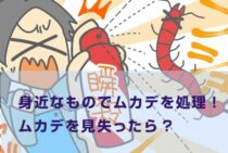 身近なものでムカデを処理！ムカデを見失ったらどうすればいい？