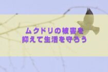群れで動くムクドリの習性って？ムクドリの被害を抑えて生活を守ろう