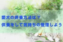 愛犬の供養方法はどんな方法がある？供養をして気持ちの整理をしよう