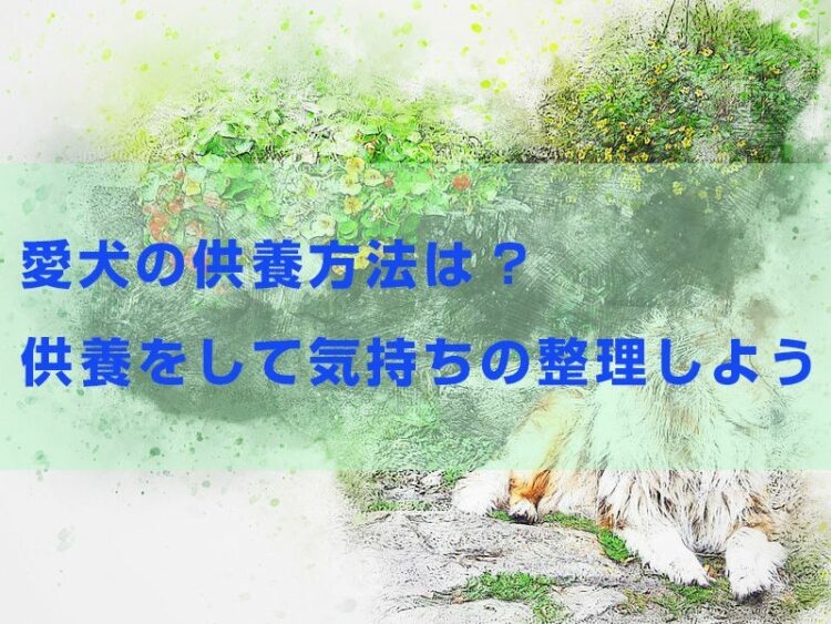 愛犬の供養方法はどんな方法がある？供養をして気持ちの整理をしよう