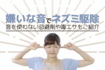 ネズミの嫌いな音「超音波」を使った効果的なグッズで徹底駆除！