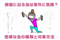 部屋に出る虫は意外に危険？！危険な虫の種類と対策方法を伝授！