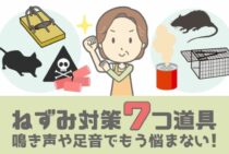 ネズミ対策で寄り付かせない環境を作ろう！種類と生態に合わせた駆除方法！