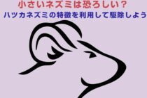 小さいネズミは恐ろしい？ハツカネズミの特徴を利用して駆除しよう