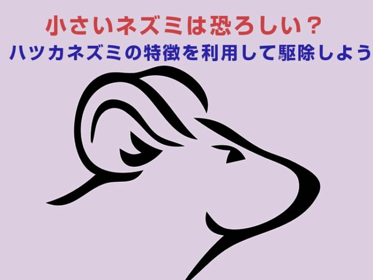 小さいネズミは恐ろしい？ハツカネズミの特徴を利用して駆除しよう