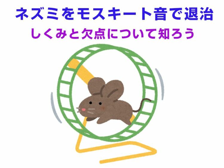 ネズミをモスキート音で退治！？そのしくみと欠点について知ろう！