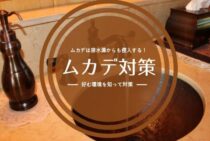ムカデは排水溝からも侵入する、ムカデの好む環境を知って対策しよう。