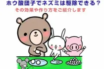 ホウ酸団子でネズミは駆除できる？その効果や作り方をご紹介します