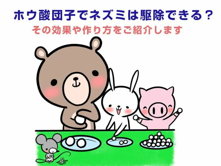 ホウ酸団子でネズミは駆除できる？その効果や作り方をご紹介します