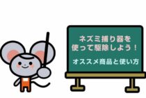 ネズミ捕り器を使って駆除しよう！オススメ商品と使い方のコツを伝授