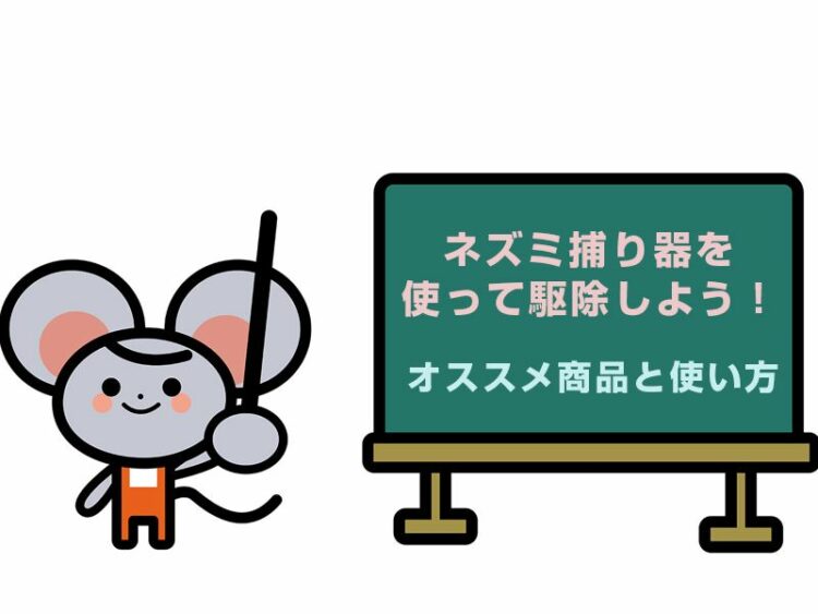 ネズミ捕り器を使って駆除しよう！オススメ商品と使い方のコツを伝授