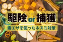 ネズミ駆除に毒エサを使う2つの方法！「駆除する」か「捕獲する」