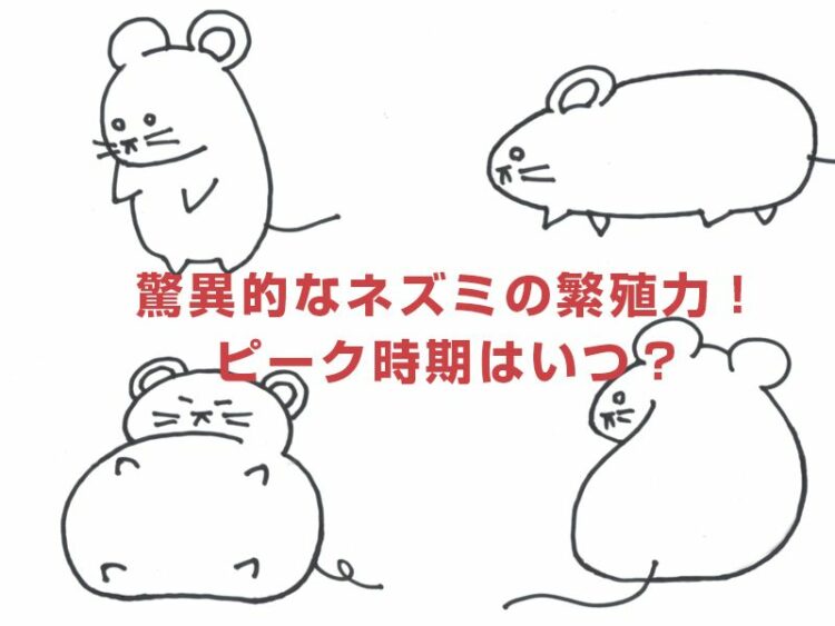 驚異的なネズミの繁殖力！ピーク時期はいつ？被害の拡大を防ぐには