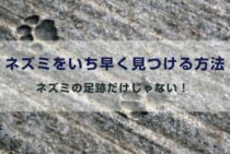 ネズミの足跡だけじゃない！侵入したネズミをいち早く見つける方法！