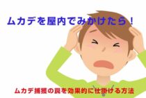 ムカデを屋内でみかけたら！ムカデ捕獲の罠を効果的に仕掛ける方法