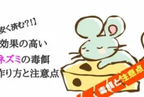 自分でつくれば安く済む？！効果の高いネズミの毒餌の作り方と注意点