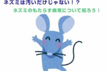 ネズミは汚いだけじゃない！？ネズミのもたらす病気について知ろう！