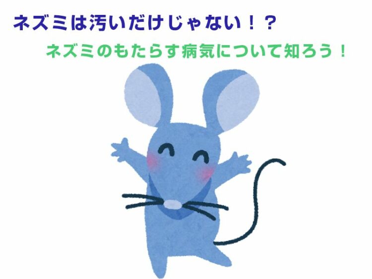 ネズミは汚いだけじゃない！？ネズミのもたらす病気について知ろう！