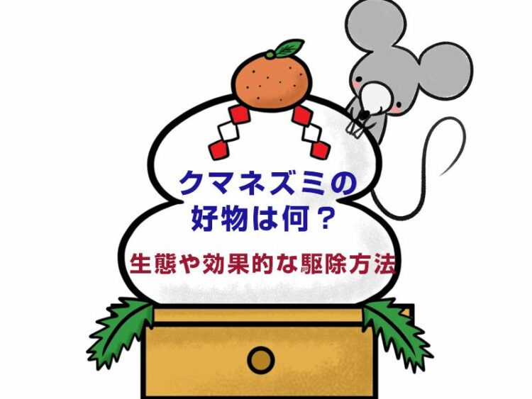 クマネズミの好物は何？クマネズミの生態や効果的な駆除方法を解説！