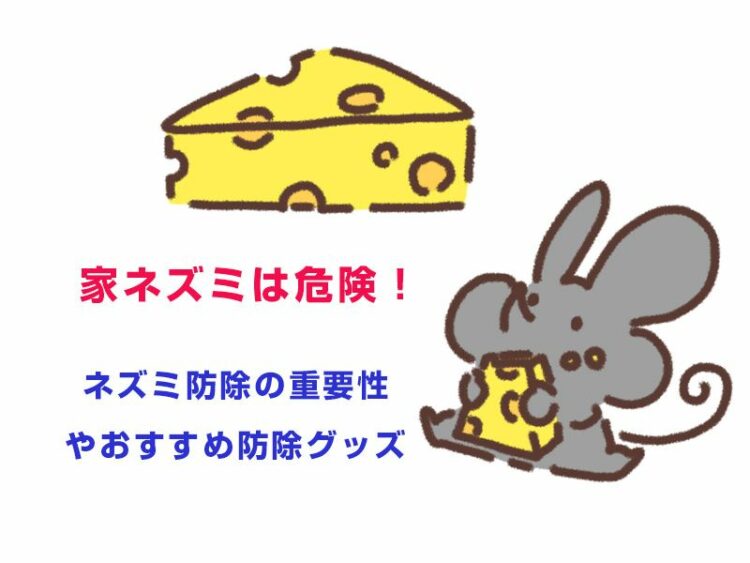 家ネズミは危険！ネズミ防除の重要性やおすすめ防除グッズを紹介！