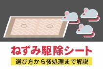 ネズミ捕りシート選びで失敗しないために！オススメ駆除アイテム3選