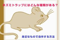 ネズミトラップにはどんな種類がある？身近なもので自作する方法も紹介