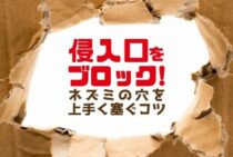ネズミ駆除・対策に必須！「金網・パテ・ブラシ」で侵入穴をブロック