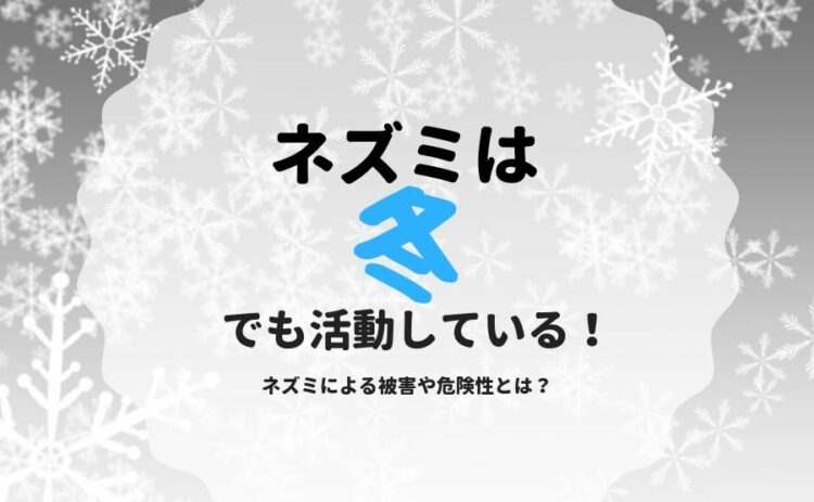 ネズミは冬でも活動している！ネズミによる被害や危険性とは？
